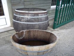 Oak Barrels (click to enlarge)